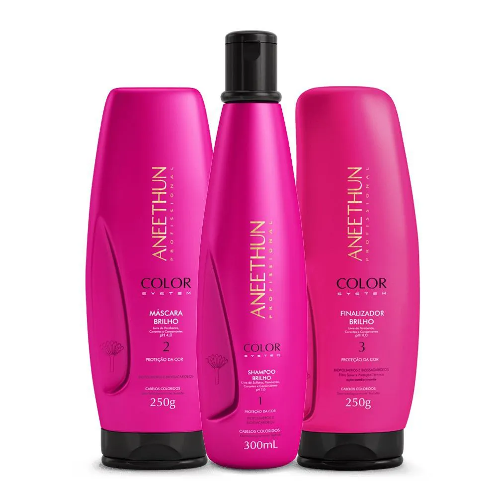 Kit Aneethun Color System - Shampoo 300ml + Máscara 250g + Finalizador 250g