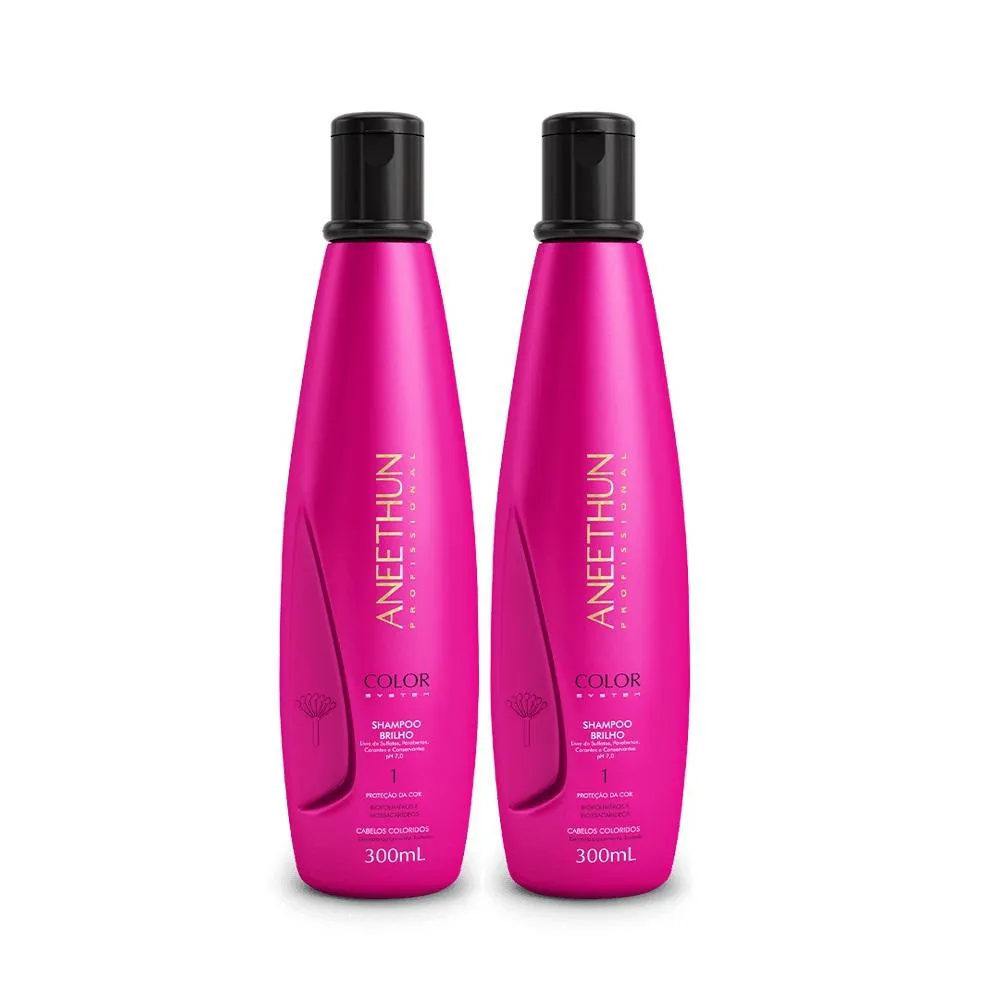 Kit Aneethun Color System - Shampoo 300ml (2Un)
