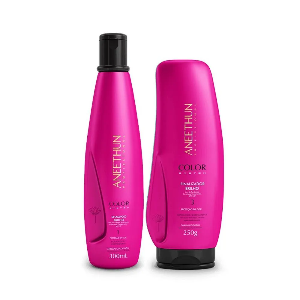 Kit Aneethun Color System - Shampoo 300ml + Finalizador 250g