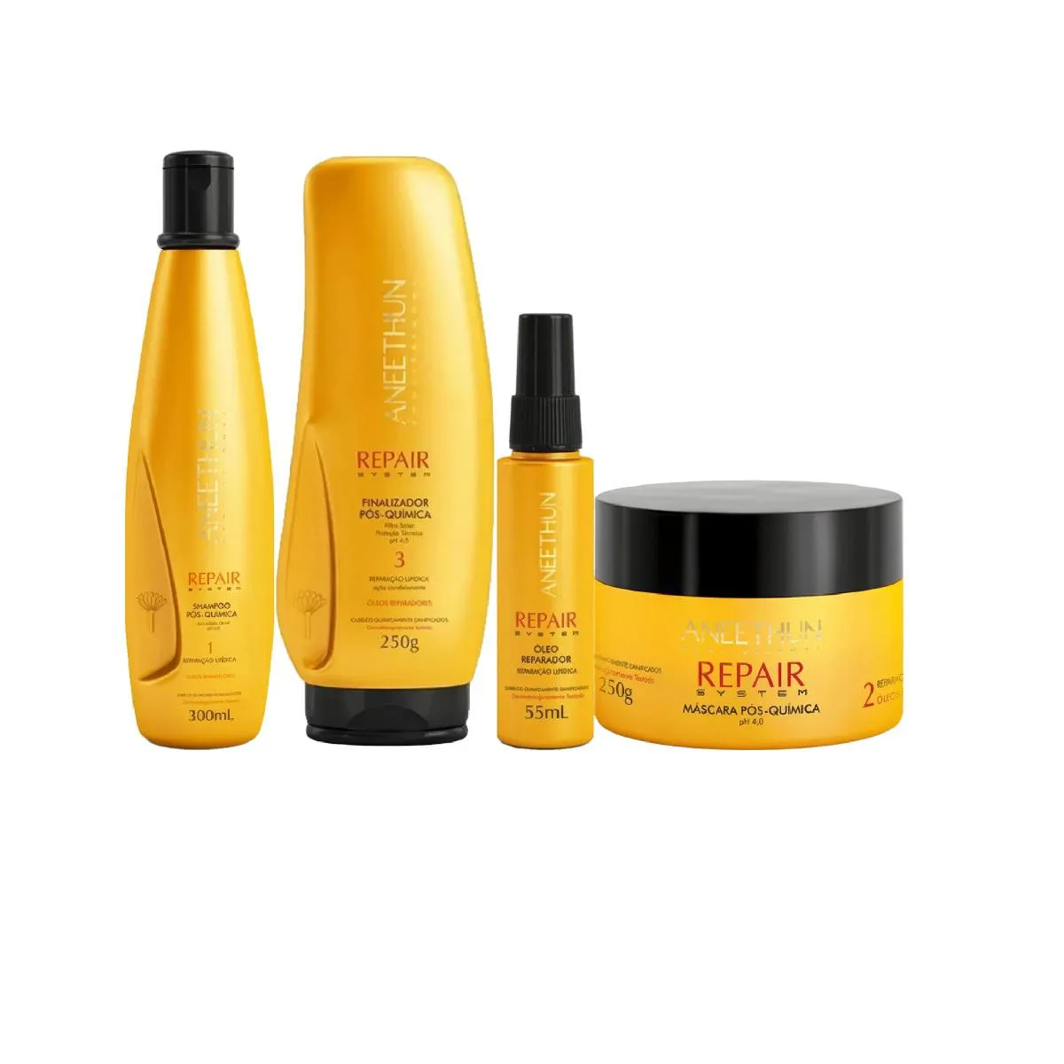 Kit Aneethun Repair System Pós-Química (4 Produtos)