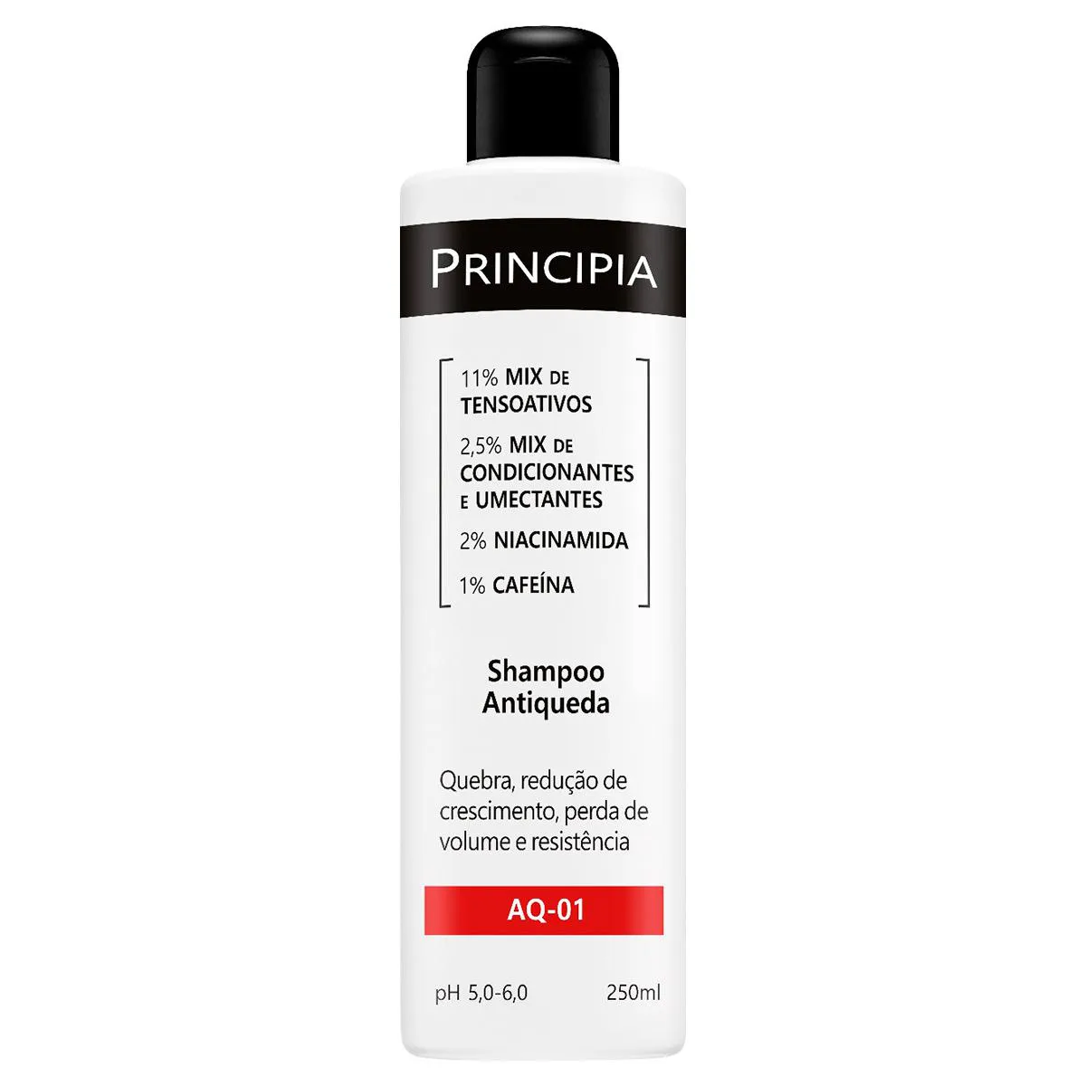 Shampoo Antiqueda Principia Skincare AQ-01 Dermatológico 250ml