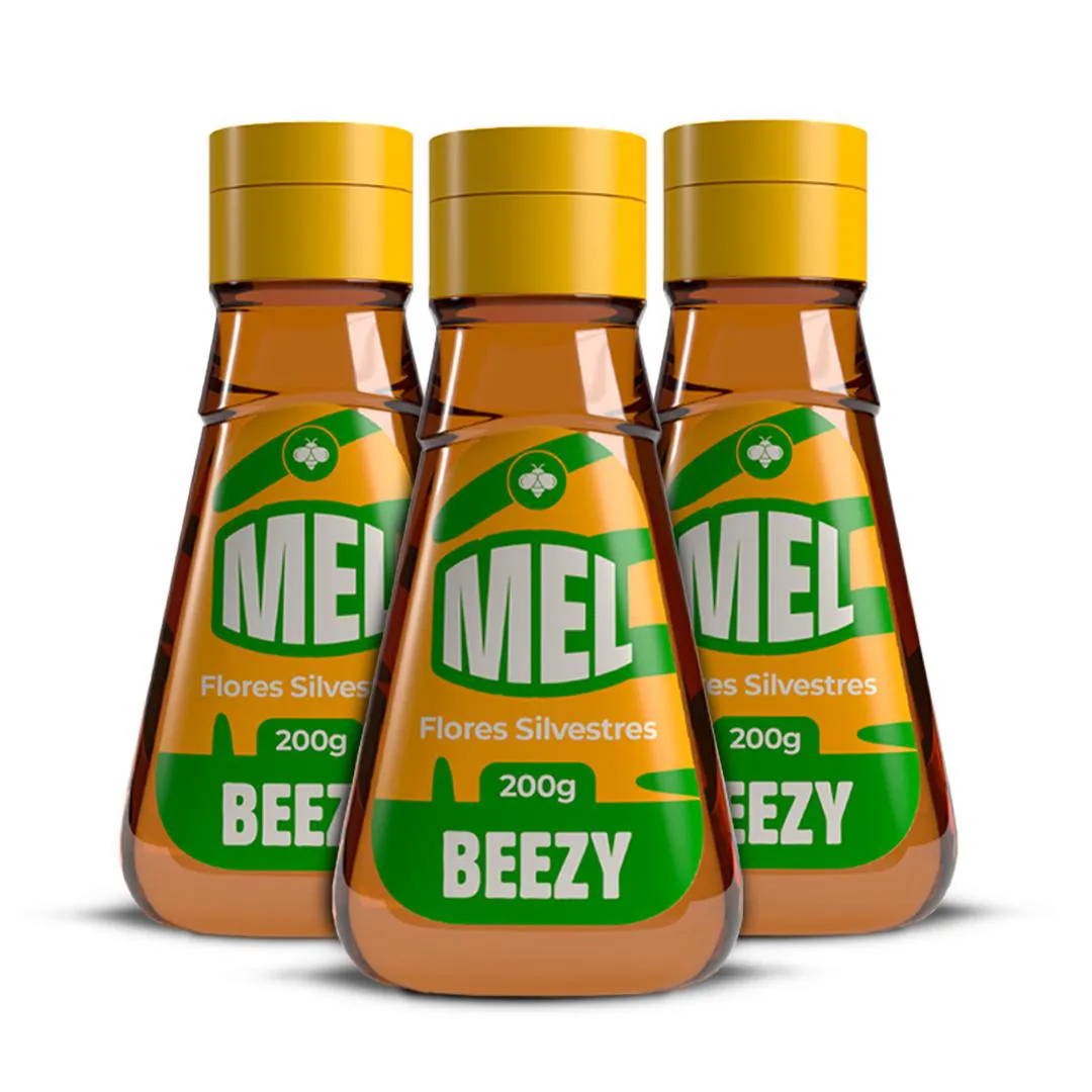 Kit 3 Mel De Abelha Premium Beezy Flores Silvestres 200g