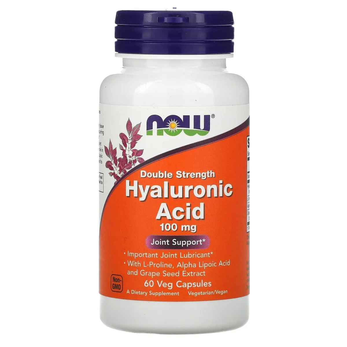 Acido Hialuronico 100mg 60 Capsulas - Now Foods