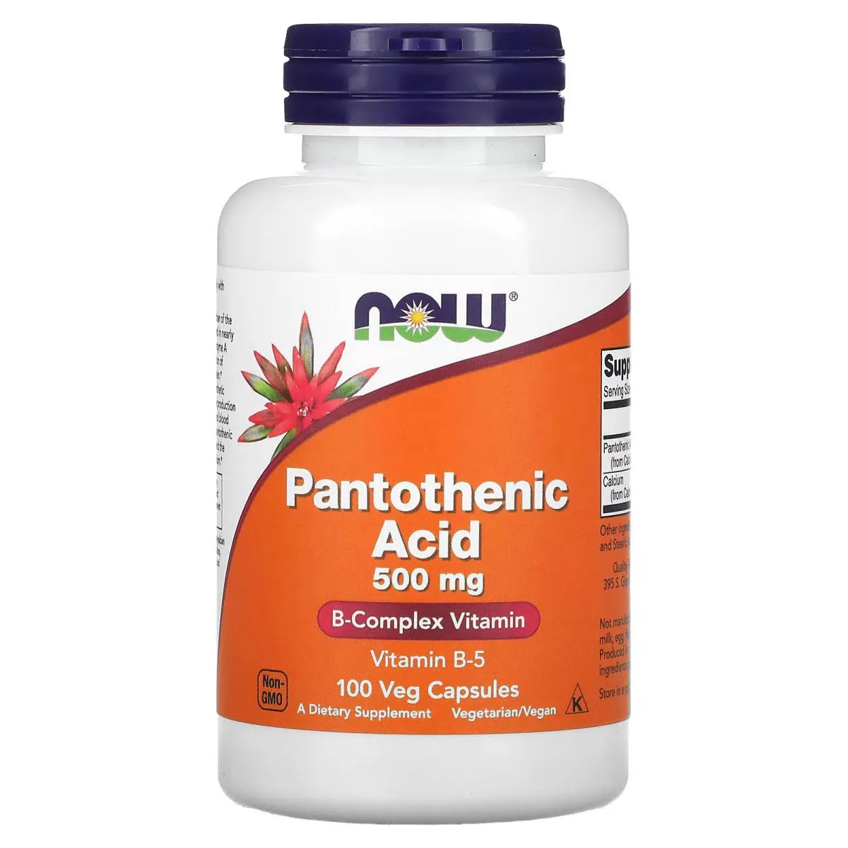 Ácido Pantotenico 500mg 100 Capsulas Veganas - Now Foods