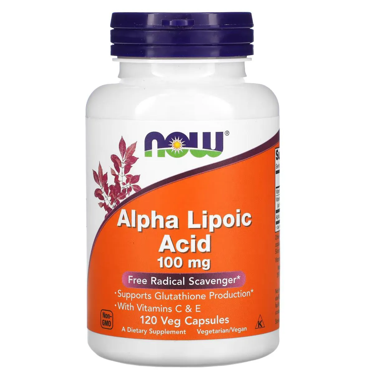 ACIDO ALPHA LIPOICO 100MG 120 CAPSULAS VEGANAS - NOW FOODS
