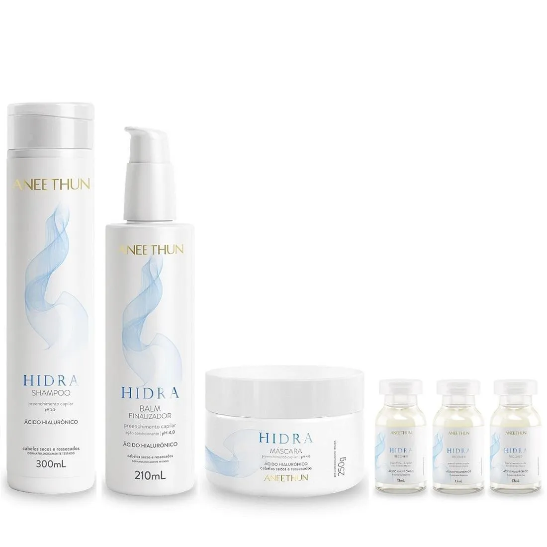 KIT ANEETHUN HIDRA - SHAMPOO 300ML + MáSCARA 250G + FINALIZADOR 210ML + AMPOLAS 13ML (3UNIDADES)
