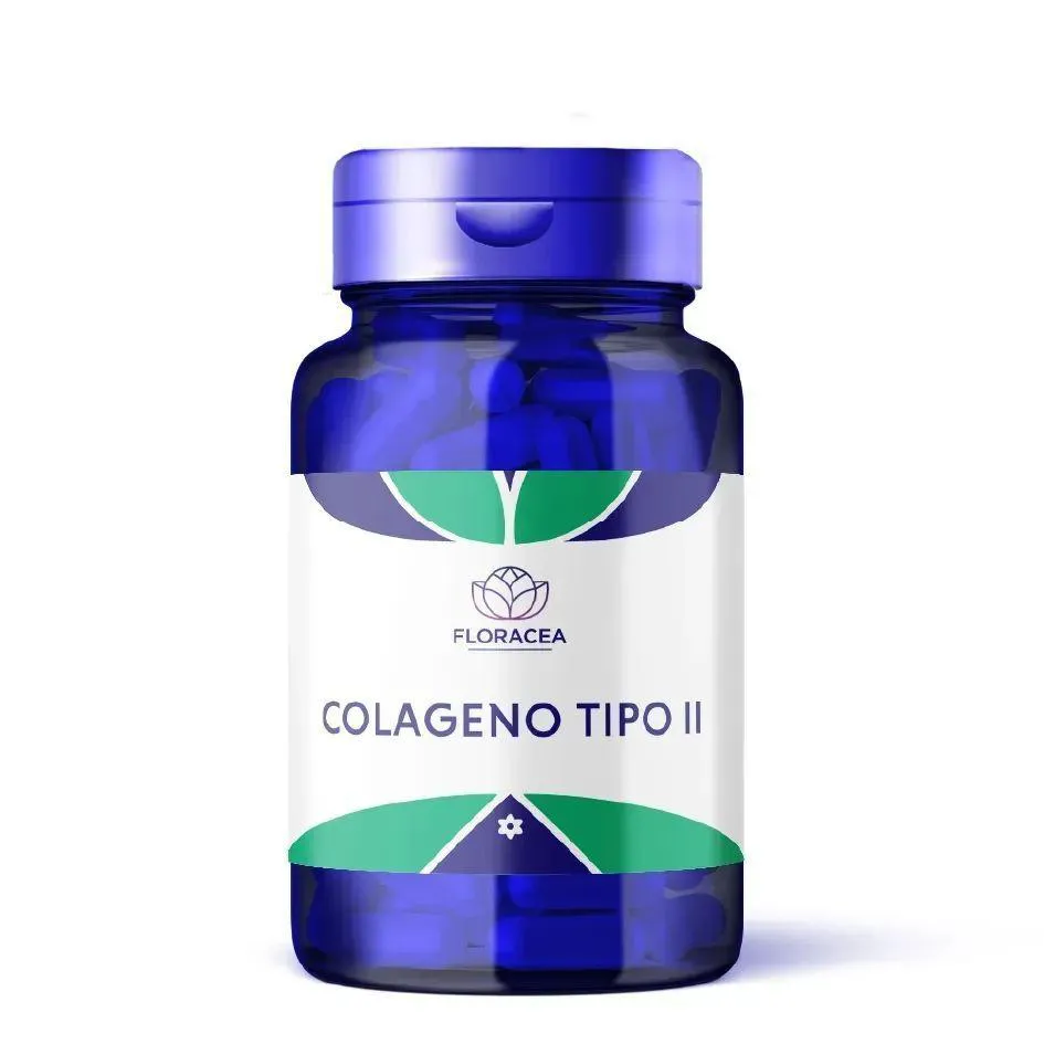 COLAGENO TIPO II
