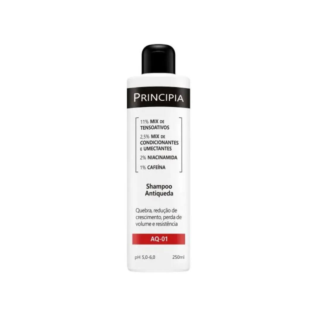 SHAMPOO ANTIQUEDA AQ-01 - PRINCIPIA