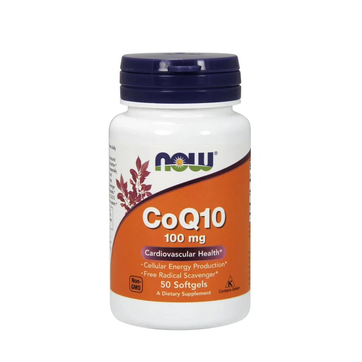 COENZIMA Q10 COQ10 100MG 50 SGELS NOW FOODS