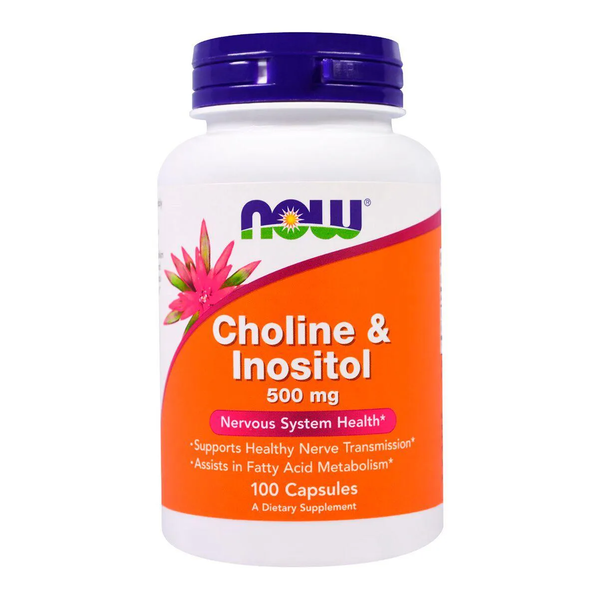 COLINA BITARTRATE CHOLINE E INOSITOL 500MG 100 CAPS NOW F.