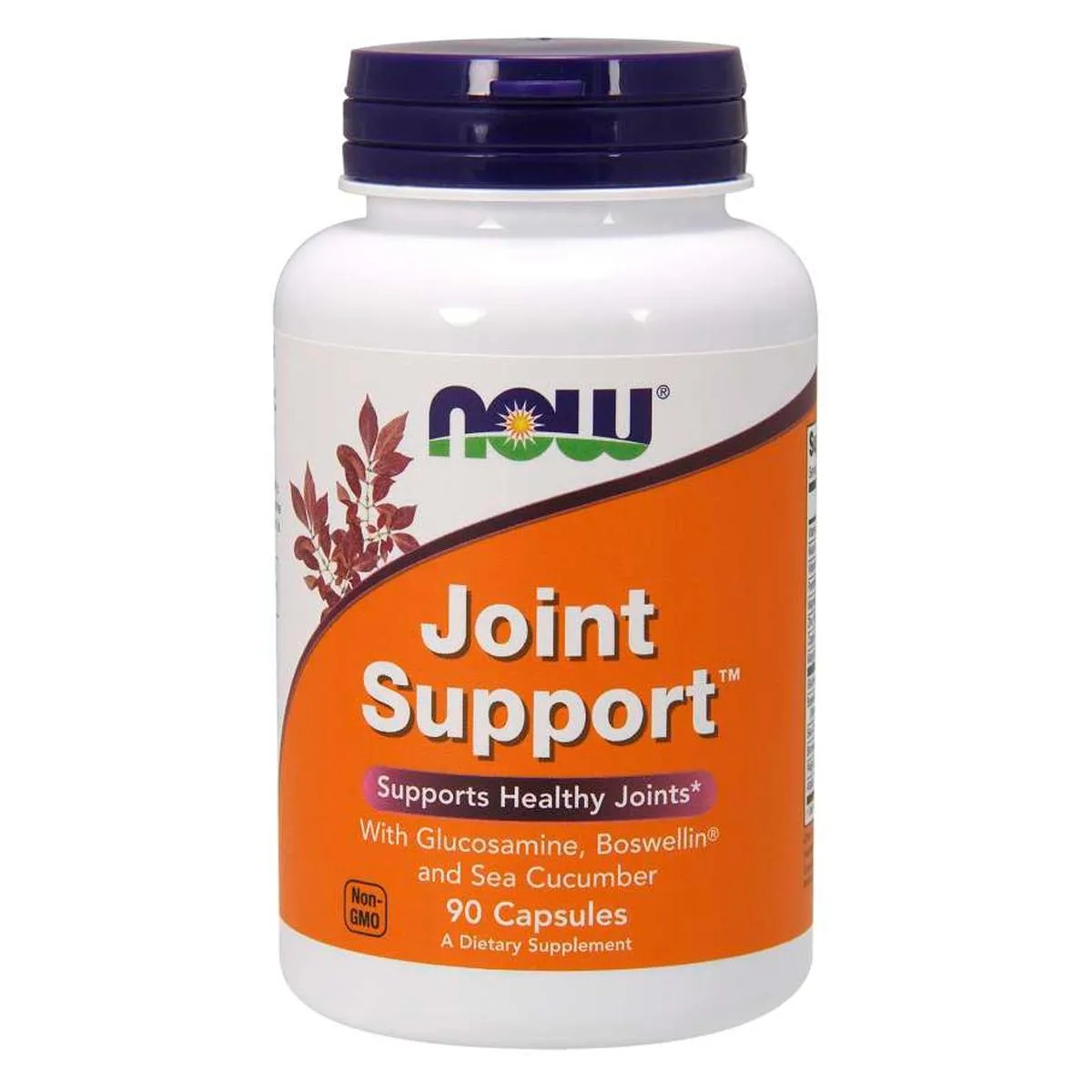 JOINT SUPPORT APOIO AS ARTICULAçõES (90 VCAPS) NOW FOODS