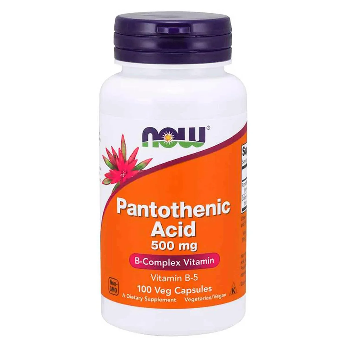 PANTOTHENIC ACID ÁCIDO PANTOTêNICO 500MG 100 VCAPS NOW FOODS