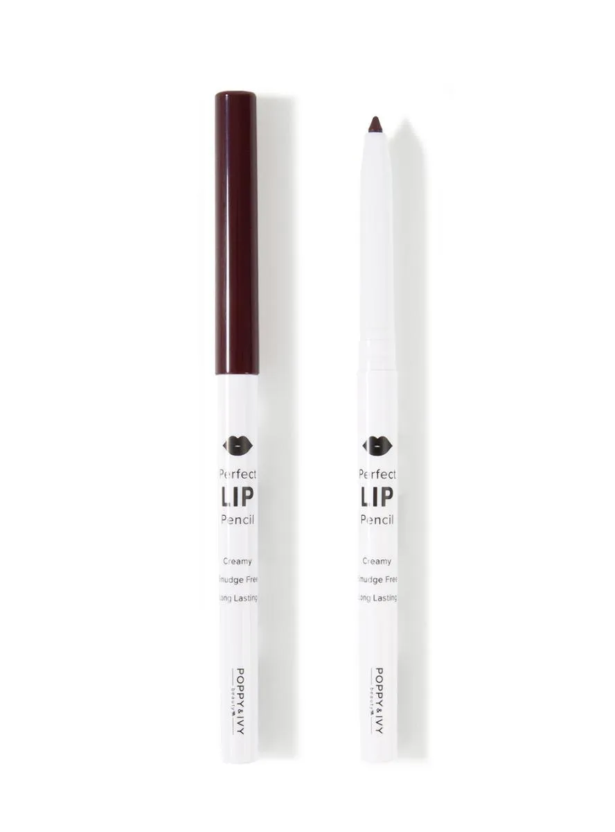DELINEADOR PERFECT LIP - AMEIXA - ABSOLUTE NEW YORK