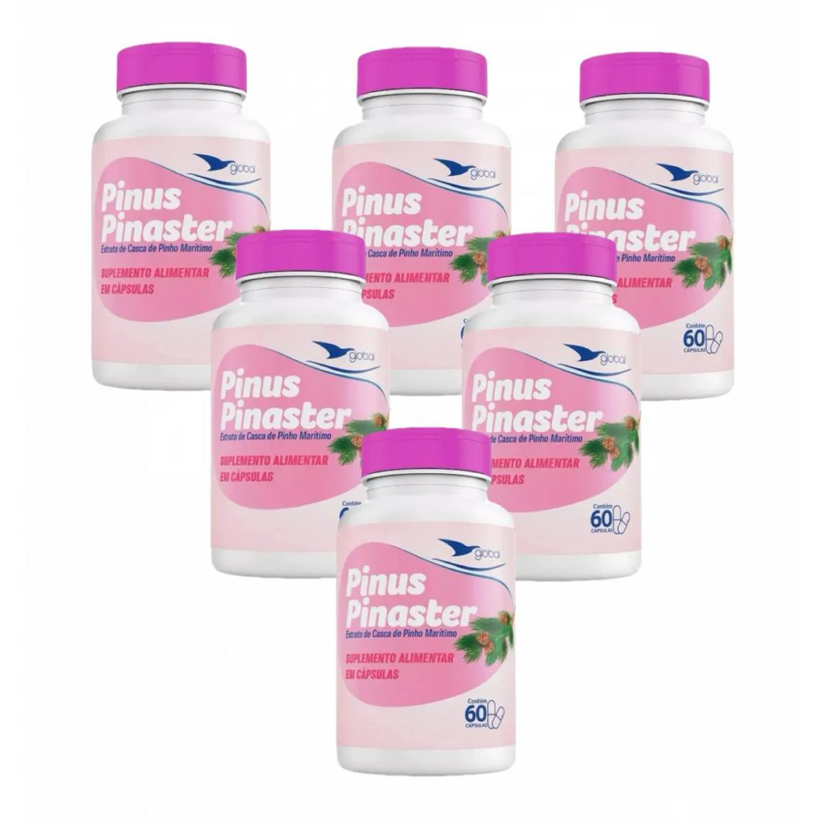 6X PINUS PINASTER - 60 CáPSULAS- GLOBAL SUPLEMENTOS SEM Sabor