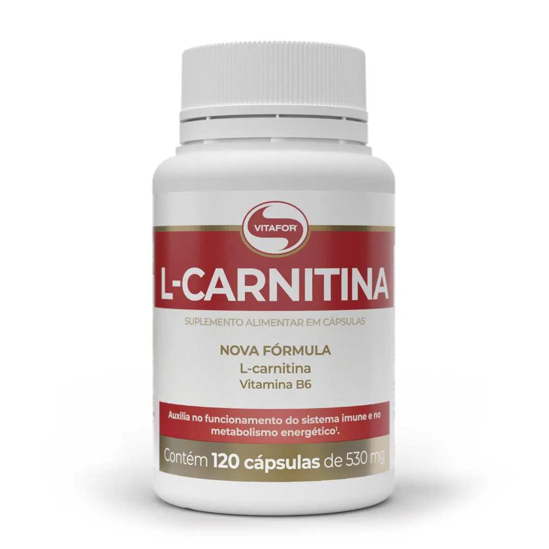 L-CARNITINA 500MG 120 CAPS. VITAFOR