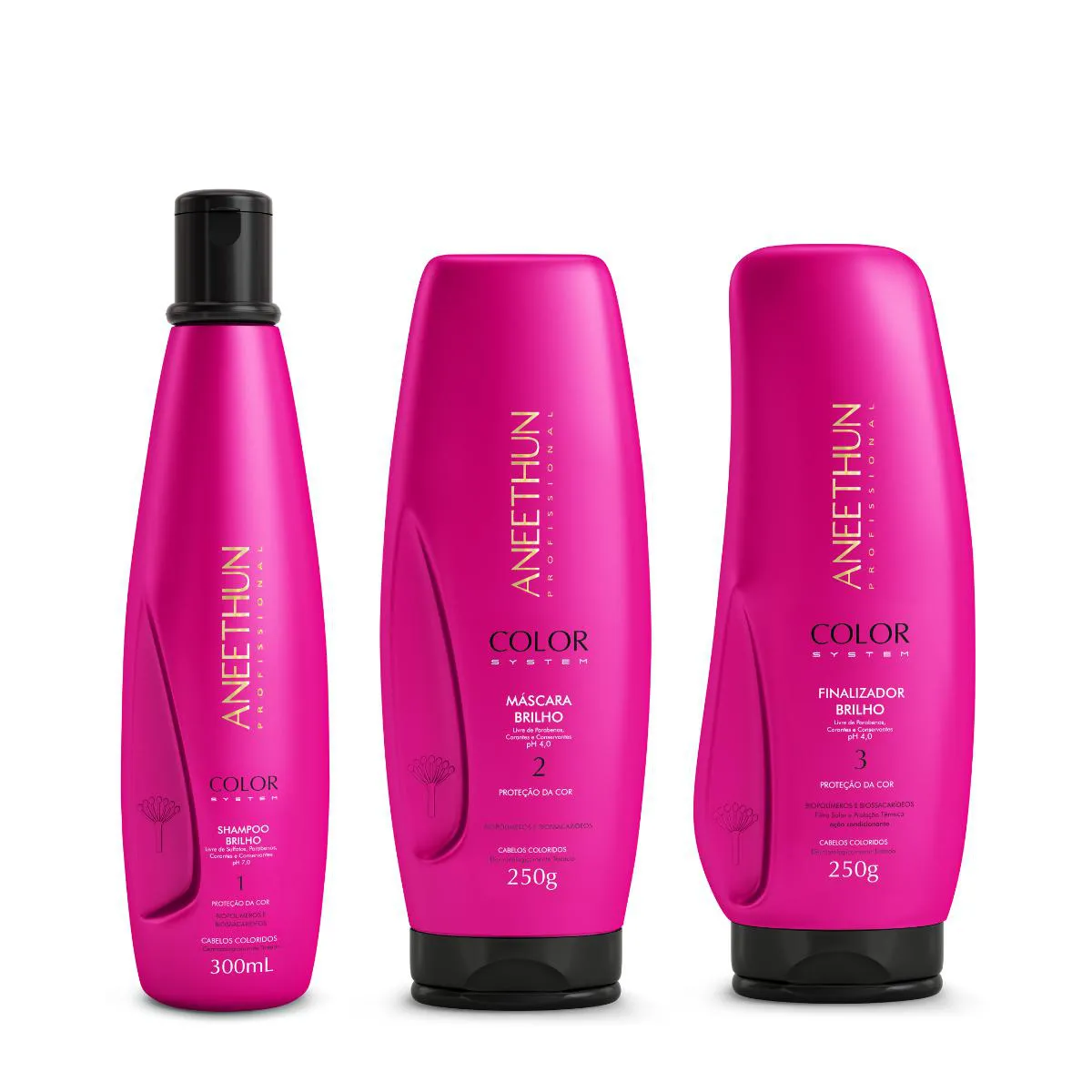 KIT COLOR SYSTEM SHAMPOO MASCARA E FINALIZADOR- ANEETHUN