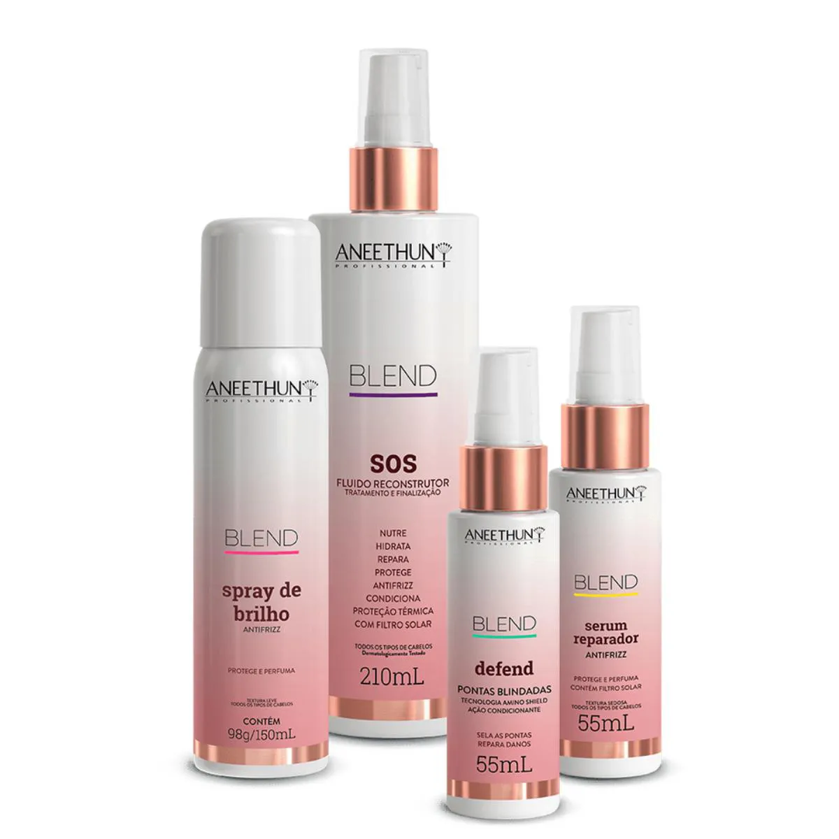 KIT MULTICUIDADOS BLEND (4 PRODUTOS) - ANEETHUN