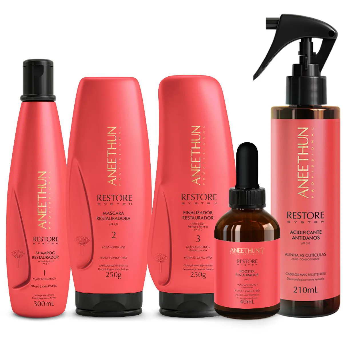 KIT RESTORE SYSTEM 5 PRODUTOS - ANEETHUN
