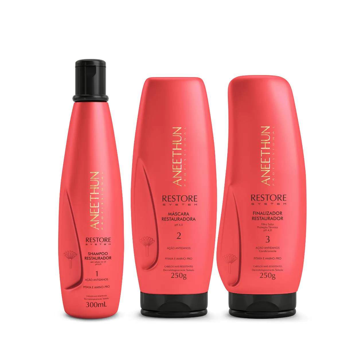 KIT RESTORE SYSTEM SHAMPOO MASCARA E FINALIZADOR - ANEETHUN