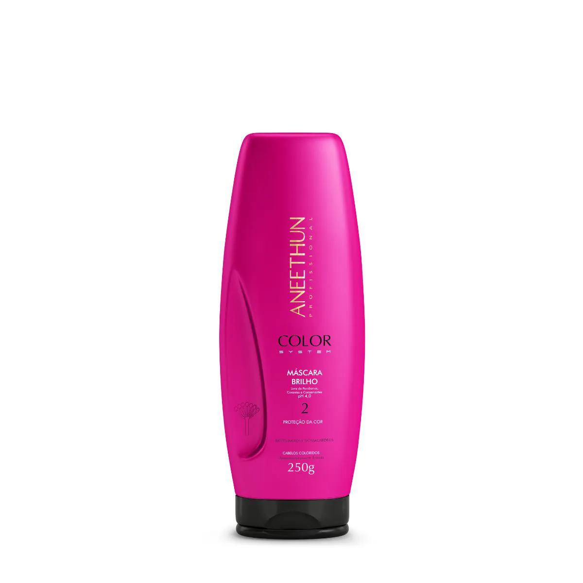MASCARA BRILHO COLOR SYSTEM 250G - ANEETHUN