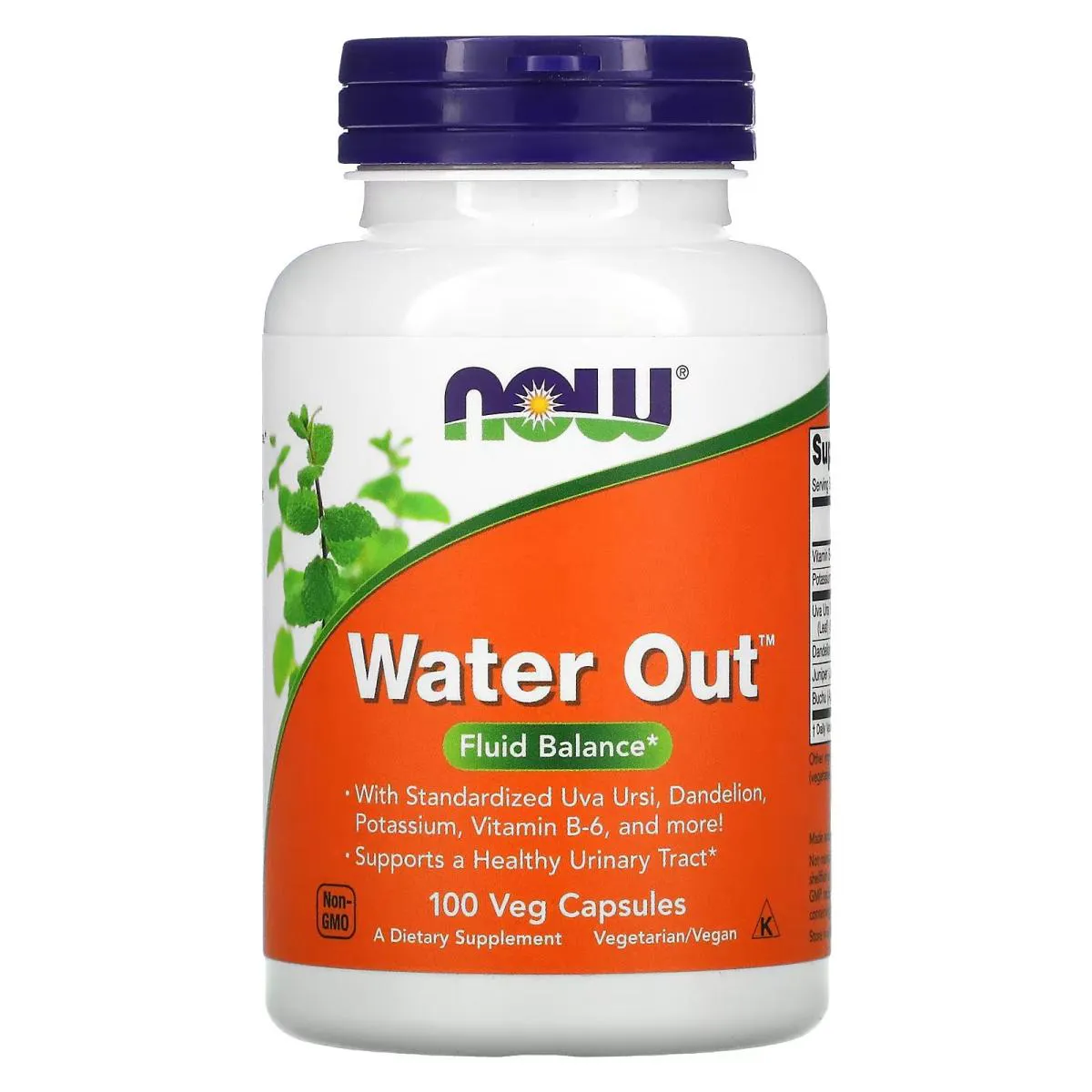 WATER OUT EQUILíBRIO DE FLUIDOS 100 CáPSULAS VEGETAIS, NOW FOODS