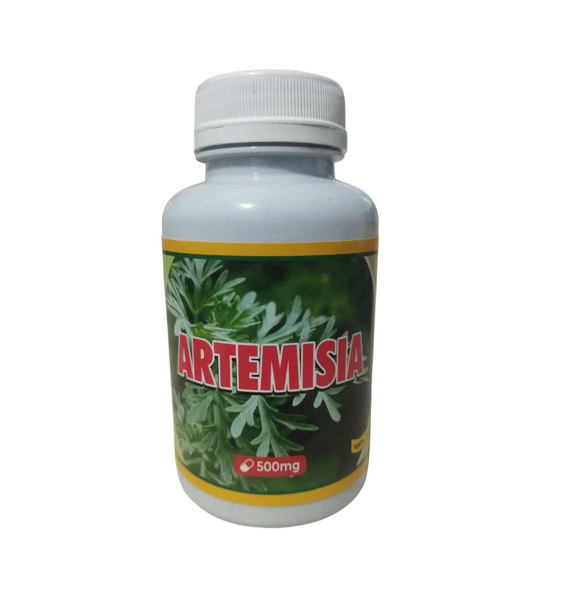 SUPLEMENTO NATURAL ARTEMISIA ENCAPSULADO EM Pó 100 CáPSULAS DE 500 MG CADA