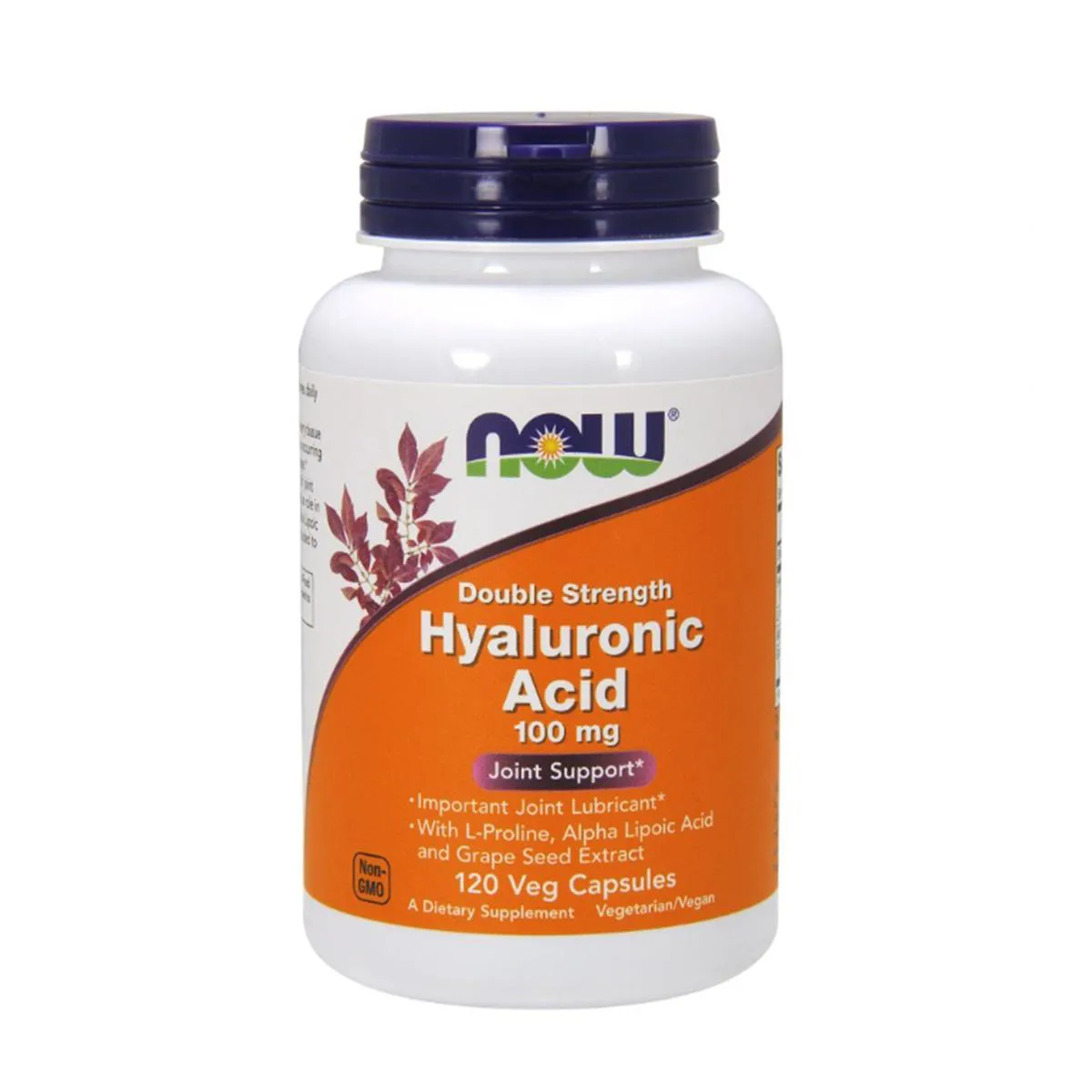 ÁCIDO HIALURôNICO 100MG 120 VCAPS NOW FOODS