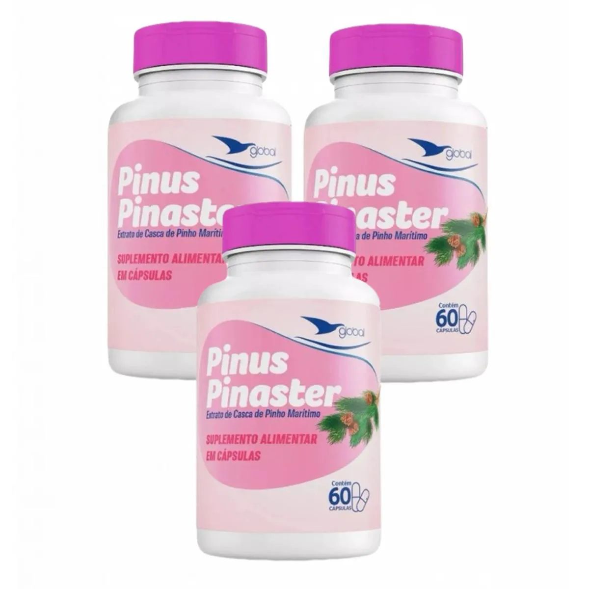 3X PINUS PINASTER - 60 CáPSULAS- GLOBAL SUPLEMENTOS SEM Sabor