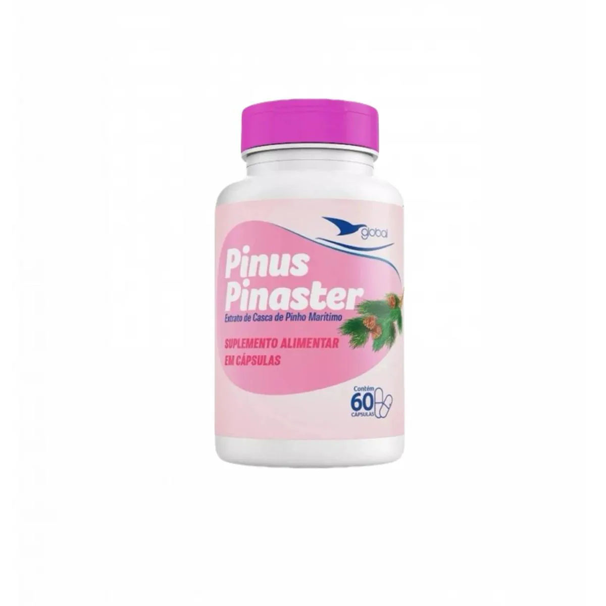 PINUS PINASTER - 60 CáPSULAS- GLOBAL SUPLEMENTOS SEM Sabor