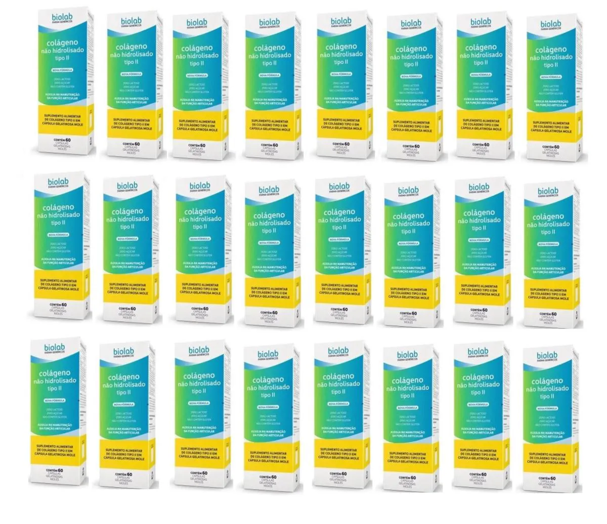 KIT 24 SUPLEMENTO COLáGENO TIPO II 40MG 60CPS - BIOLAB