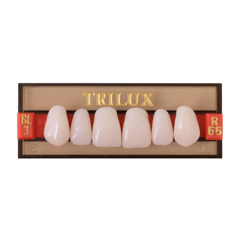 DENTE ANTERIOR SUPERIOR TRILUX POLíMERO SINTéTICO VIPI F41d