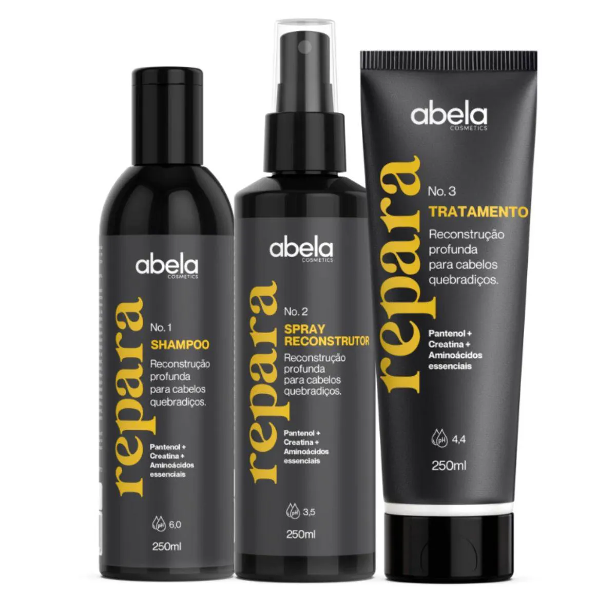 KIT REPARA LINHA RECONSTRUTORA SHAMPOO SPRAY E MáSCARA ABELA