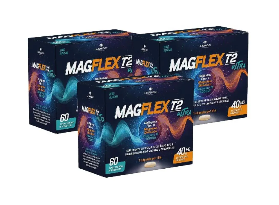 KIT 3X MAGFLEX T2 ULTRA 40MG COM 60 CáPSULAS - LA SAN DAY