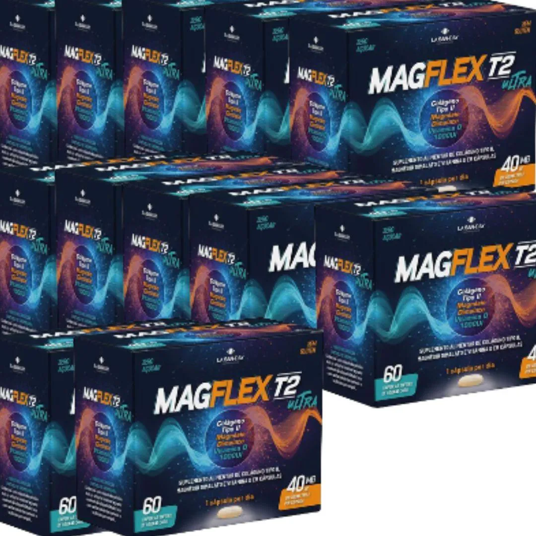 KIT 12X MAGFLEX T2 ULTRA 40MG COM 60 CáPSULAS - LA SAN DAY