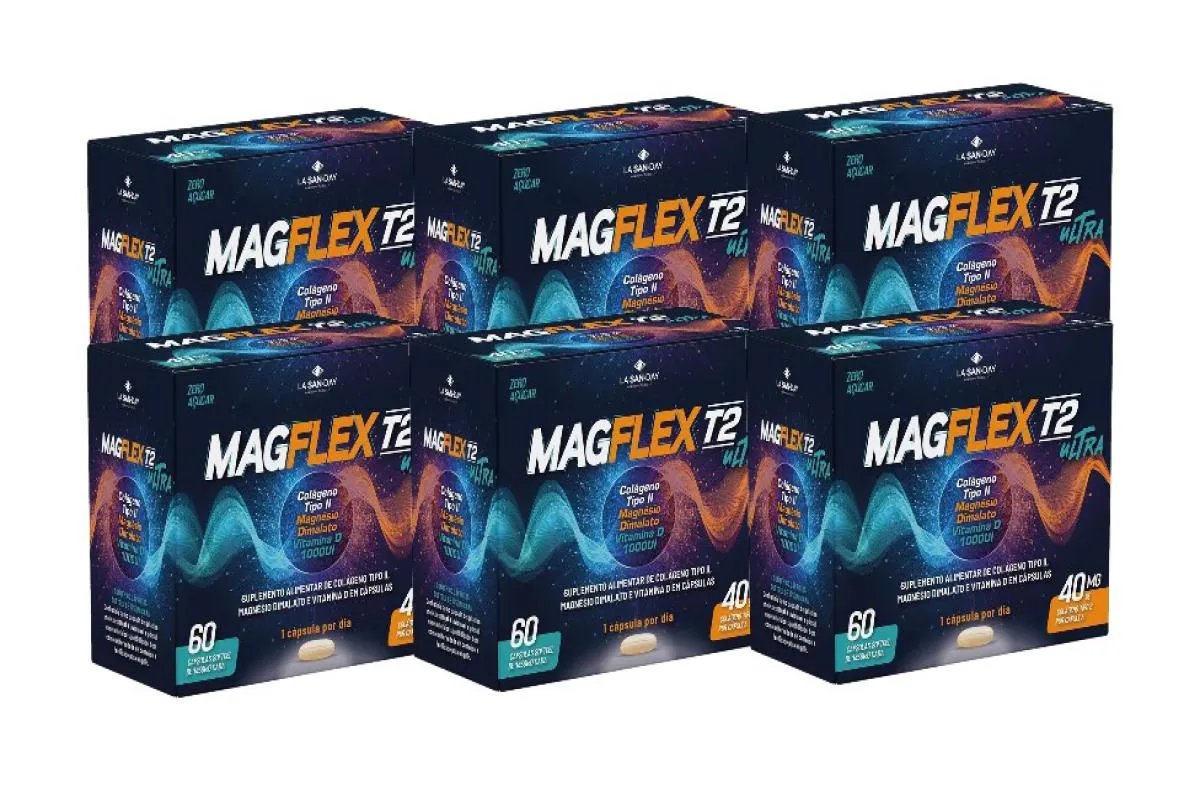 KIT 6X MAGFLEX T2 ULTRA 40MG COM 60 CáPSULAS - LA SAN DAY
