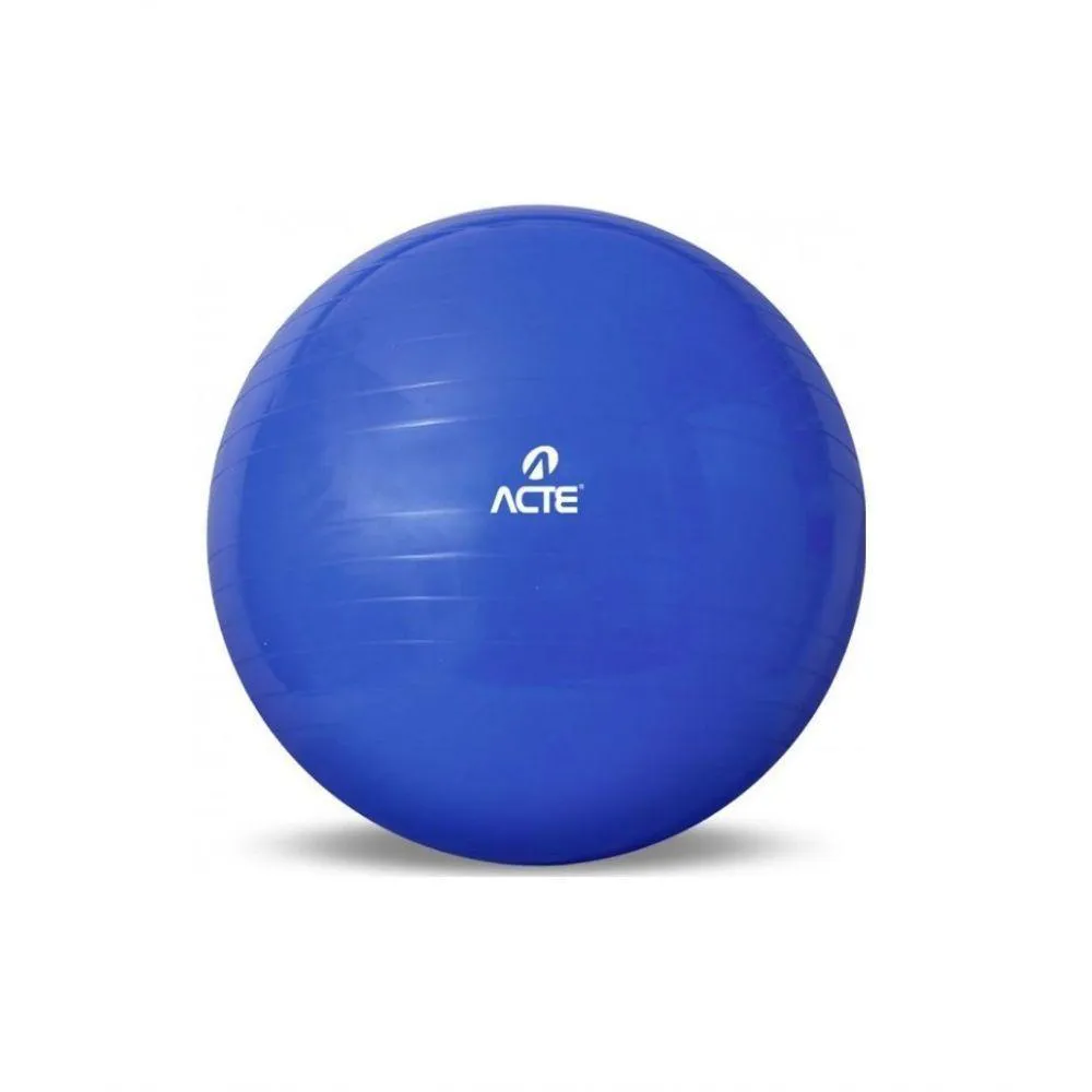 GYM BALL 65CM AZUL EXERCíCIOS E YOGA