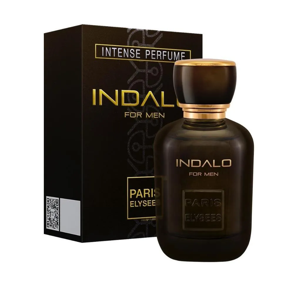 INDALO PARIS ELYSEES PERFUME MASCULINO EDT 100 ML