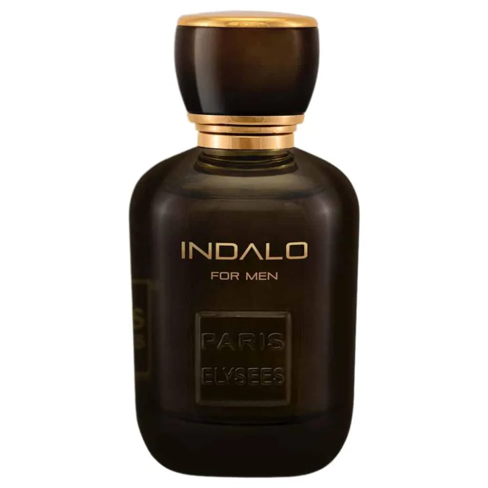 INDALO PERFUME INTENSE  MASCULINO PARIS ELYSEES 100  ML