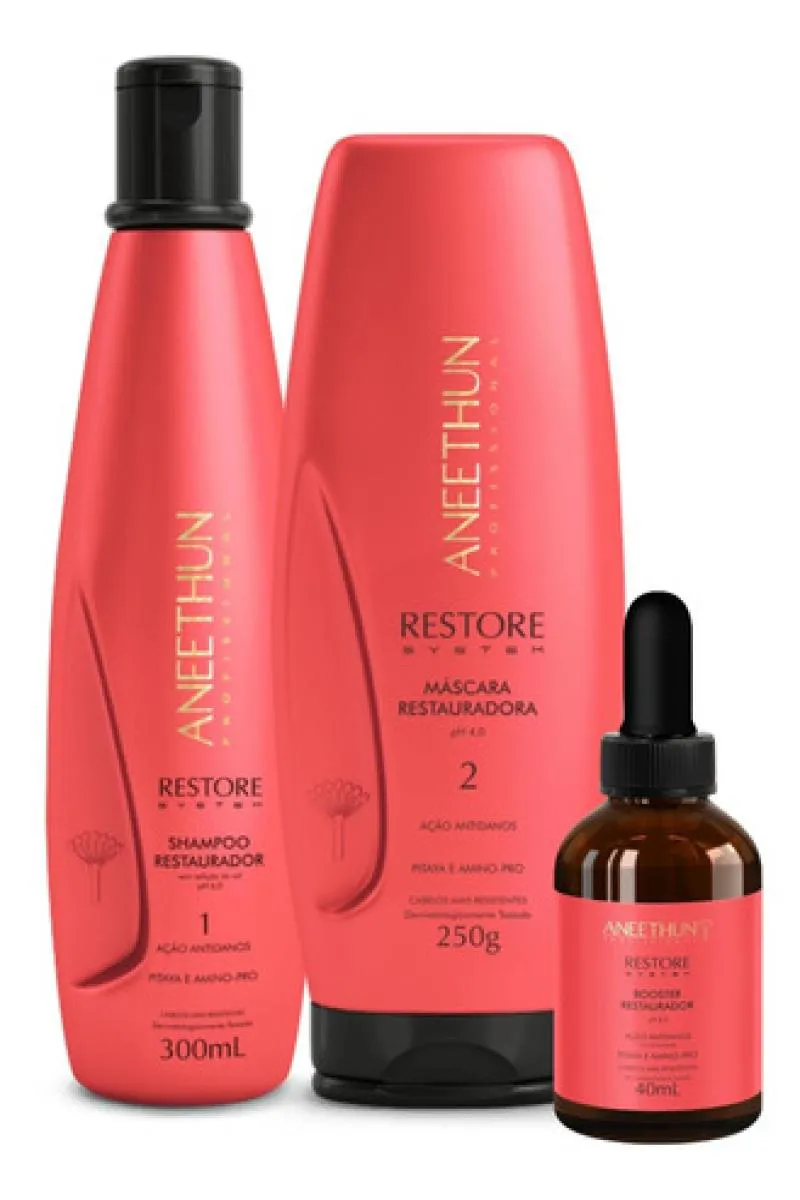 KIT SHAMPOO MASCARA E BOOSTER ANEETHUN RESTORE SYSTEM