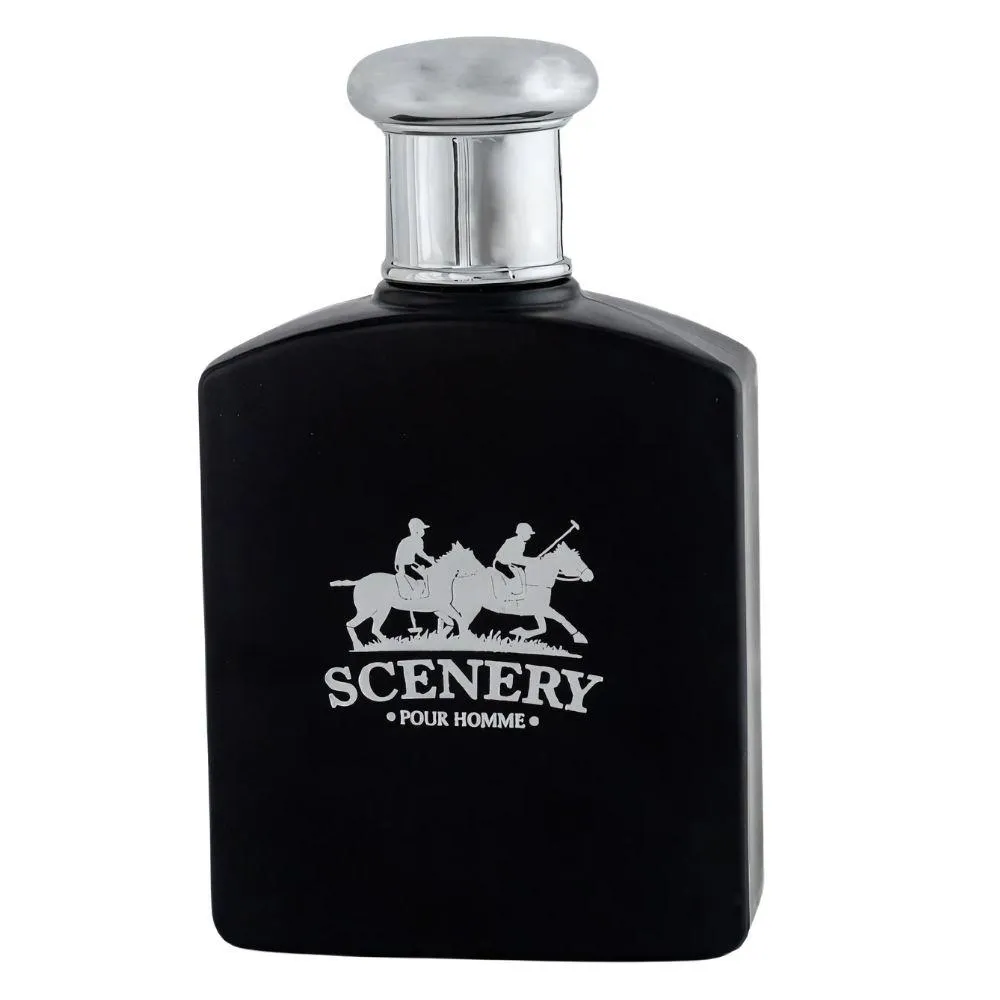 100ML - SCENERY V.V LOVE - PERFUME MASCULINO - EDT