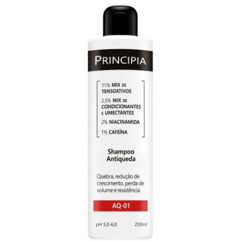 SHAMPOO ANTIQUEDA PRINCIPIA AQ-01 250ML