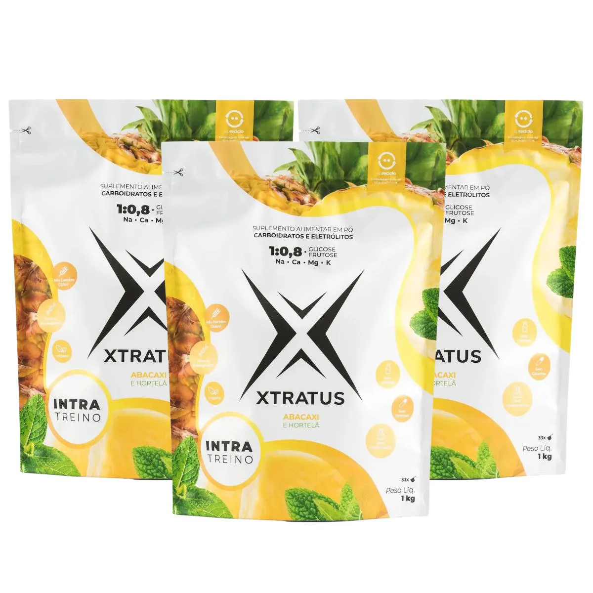 3X XTRATUS ENDURANCE INTRATREINO VEGANO ABACAXI E HORTELã 1KG Abacaxi E Hortela