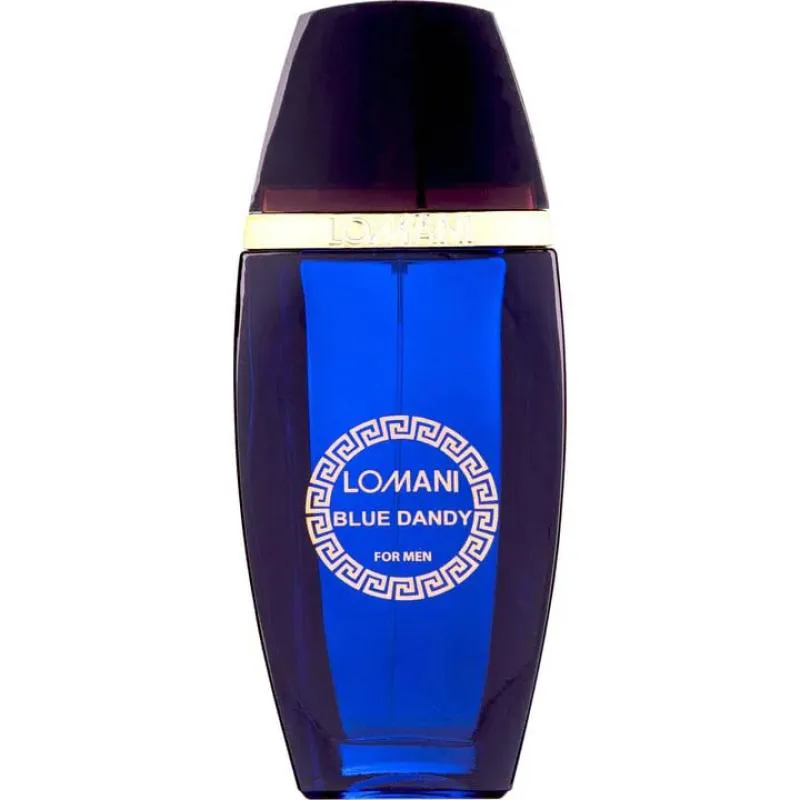 LOMANI PARIS BLUE DANDY FOR MEN EDT 100ML