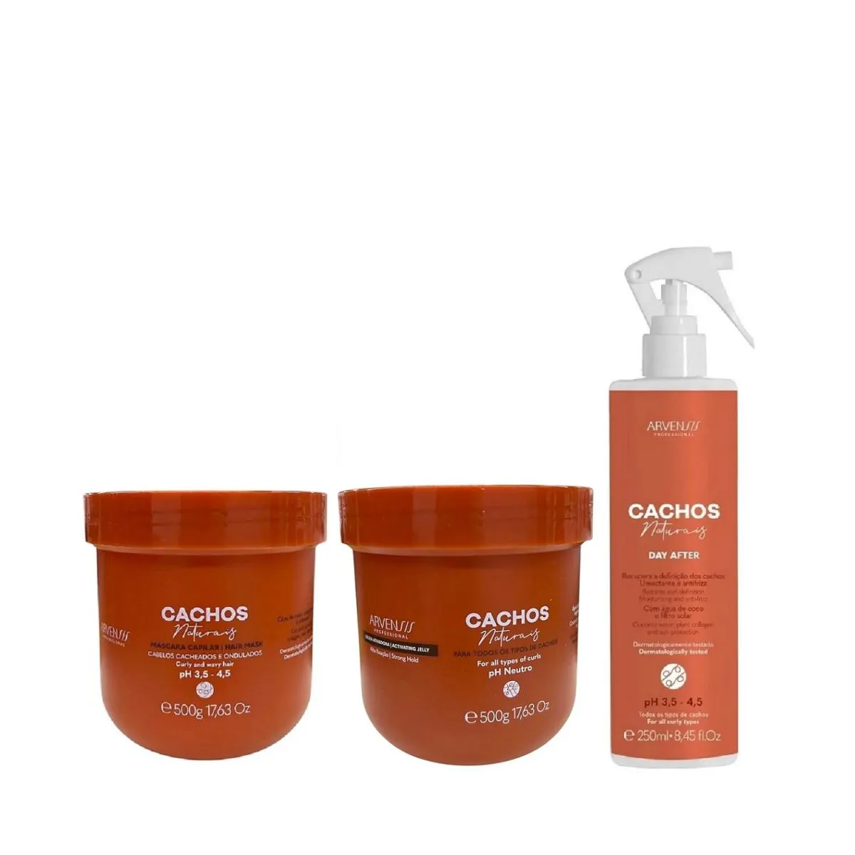 KIT ARVENSIS PROFESSIONAL CACHOS NATURAIS - MáSCARA 500G + GELEIA ALTA FIXAçãO 500G + DAY AFTER 250ML