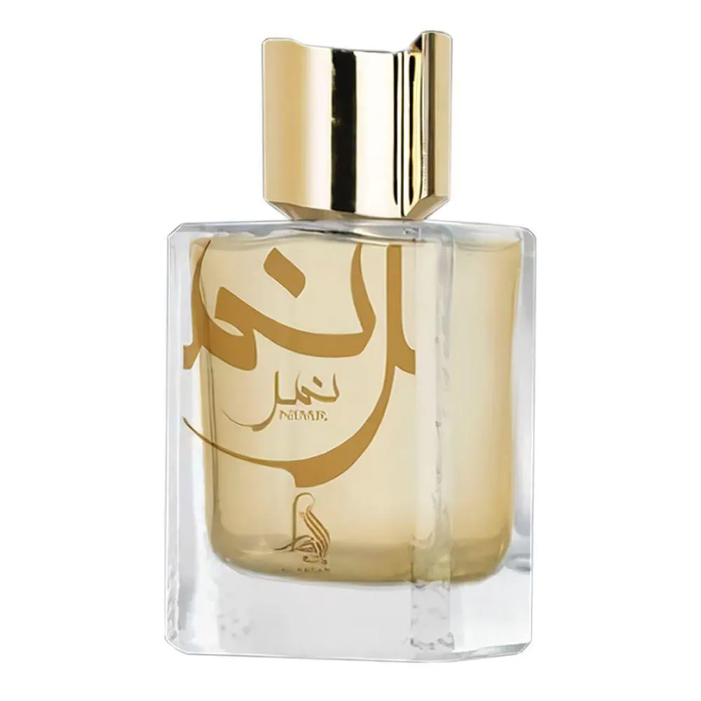 AL ABSAR NIMR EAU DE PARFUM - PERFUME MASCULINO 100ML