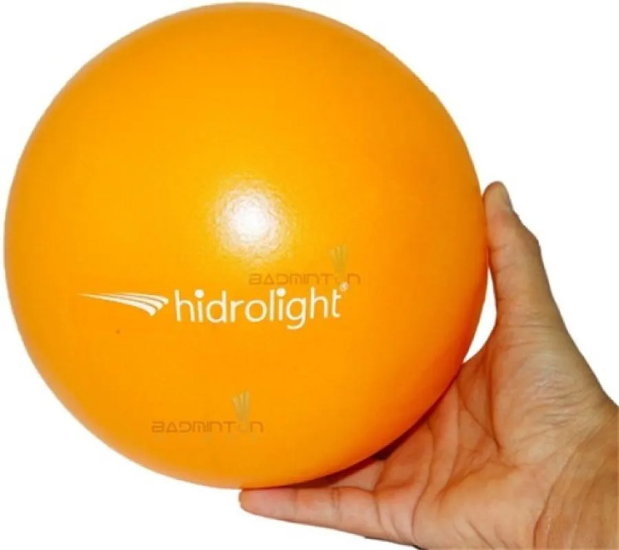 BOLA DE EXERCICIOS 20CM HIDROLIGHT FL13F