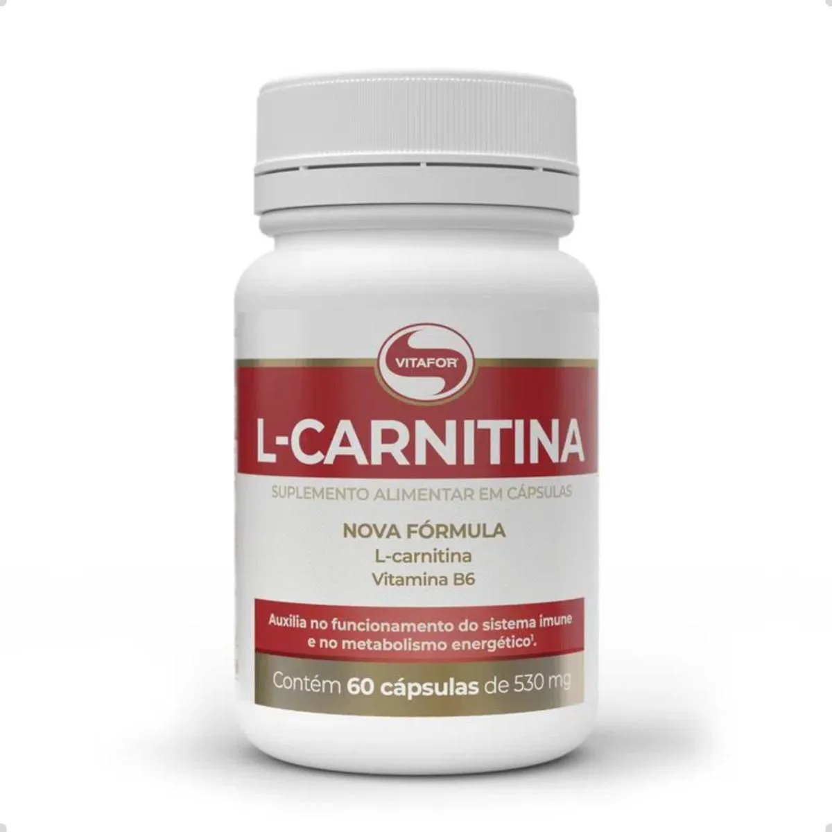 L-CARNITINA E VITAMINA B6 60 CAPSULAS VITAFOR Natural