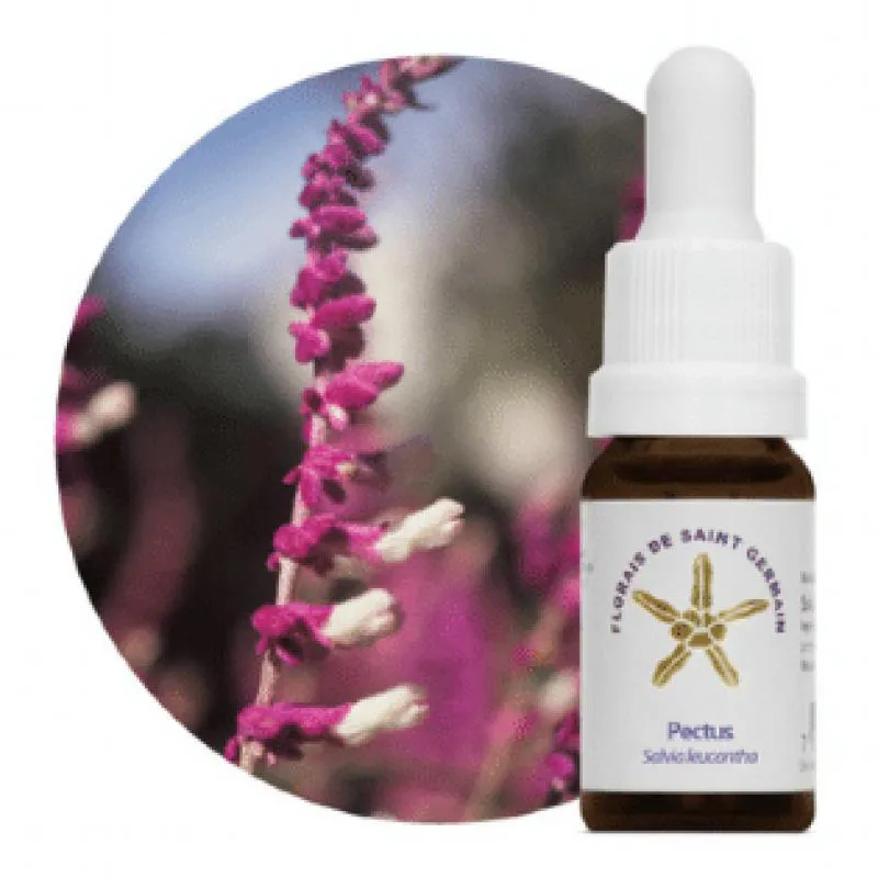 Floral Transformador Pectus 10Ml - Liberdade Emocional 1360732 | Drogasil