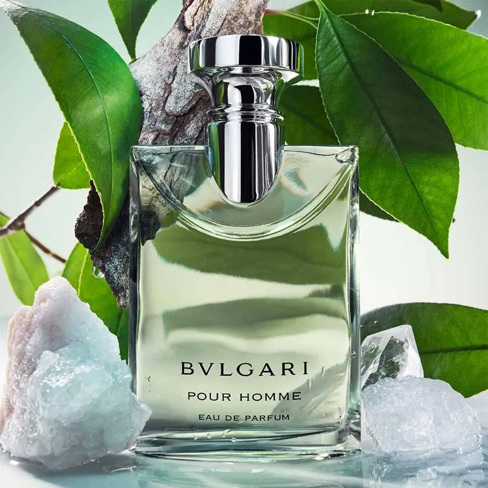 Perfume Pour Homme Bvlgari Eau de Parfum Masculino 100ml | Droga