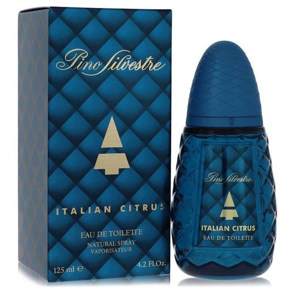 Perfume Masculino Pino Silvestre 125 Ml Eau de Toilette 1395548